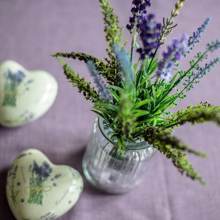 Villa Sonnenblick โคเคห์ม ห้อง รูปภาพ